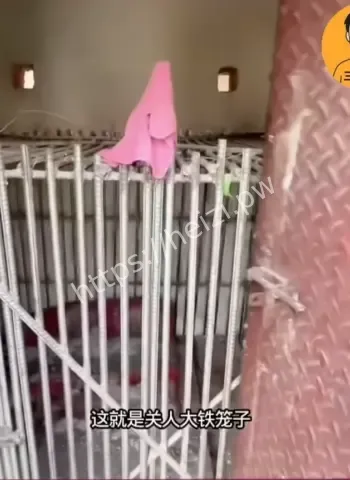 卧虎山庄