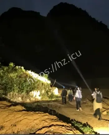 深山豺崽夜间周身泛红光