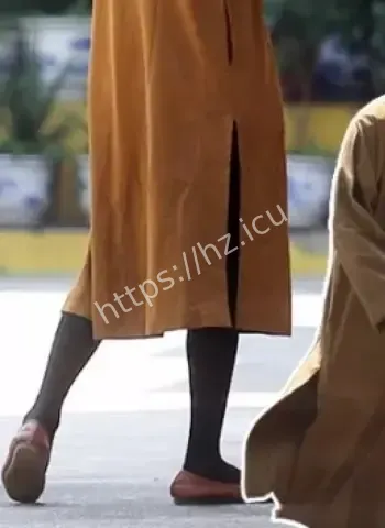 僧袍下隐藏秘密