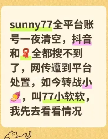 百万粉丝擦边网红