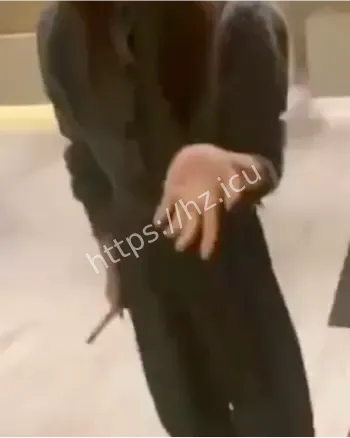 蔡佳抓奸事件
